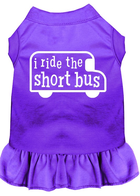 I ride the short bus Screen Print Dress Purple XL